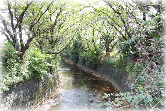 麻生川　風景　写真